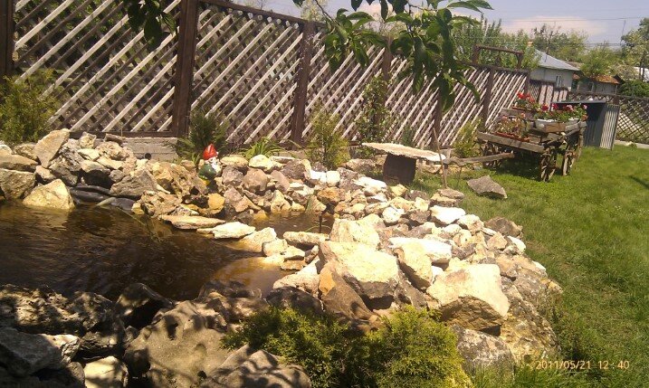 All Garden Improvement, amenajare si intretinere spatii verzi