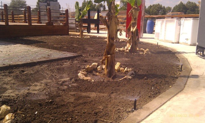 All Garden Improvement, amenajare si intretinere spatii verzi
