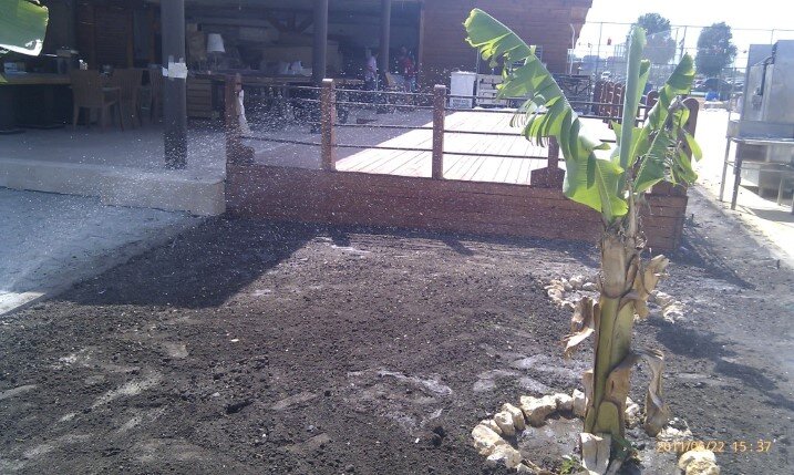 All Garden Improvement, amenajare si intretinere spatii verzi